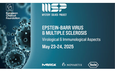 Mystery Solved Project 2025