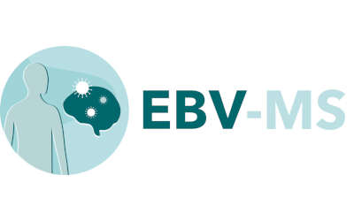 EBV-MS